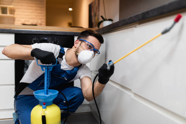 Best Residential Pest Control  in Wellford, SC