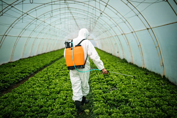 Best Affordable Pest Control Services  in Wellford, SC
