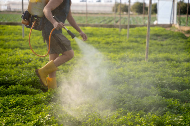 Best Exterminator Services  in Wellford, SC