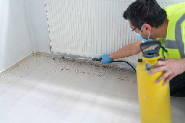 Best Wasp Removal Services  in Wellford, SC