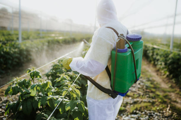 Pest Control for Restaurants in Wellford, SC